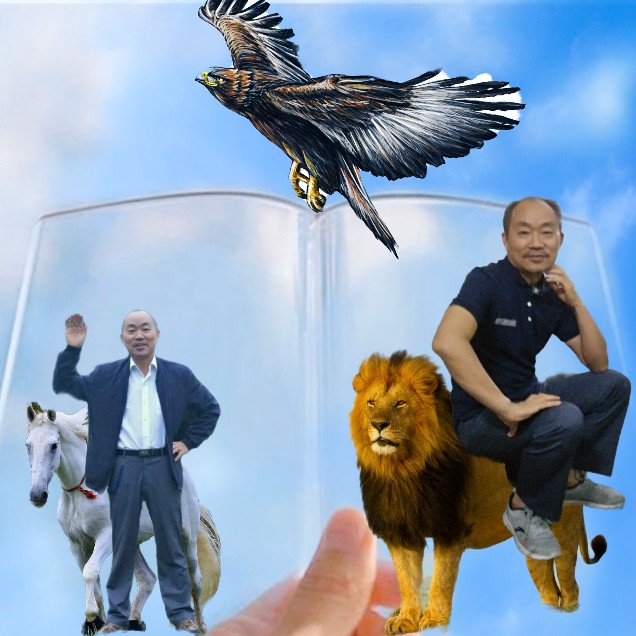 岁月流深情