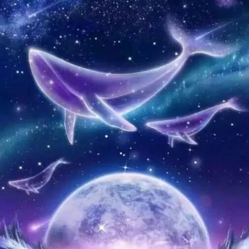 关于 月亮，夜 的文案