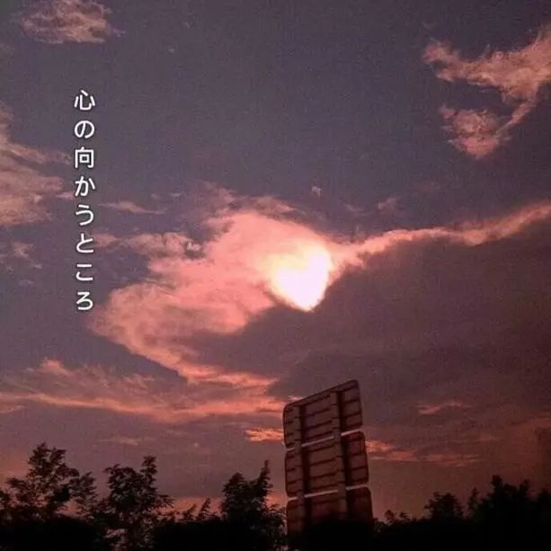 “温柔的句子💫”