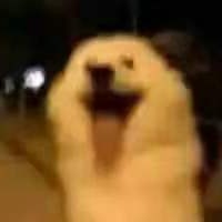 收藏夹1