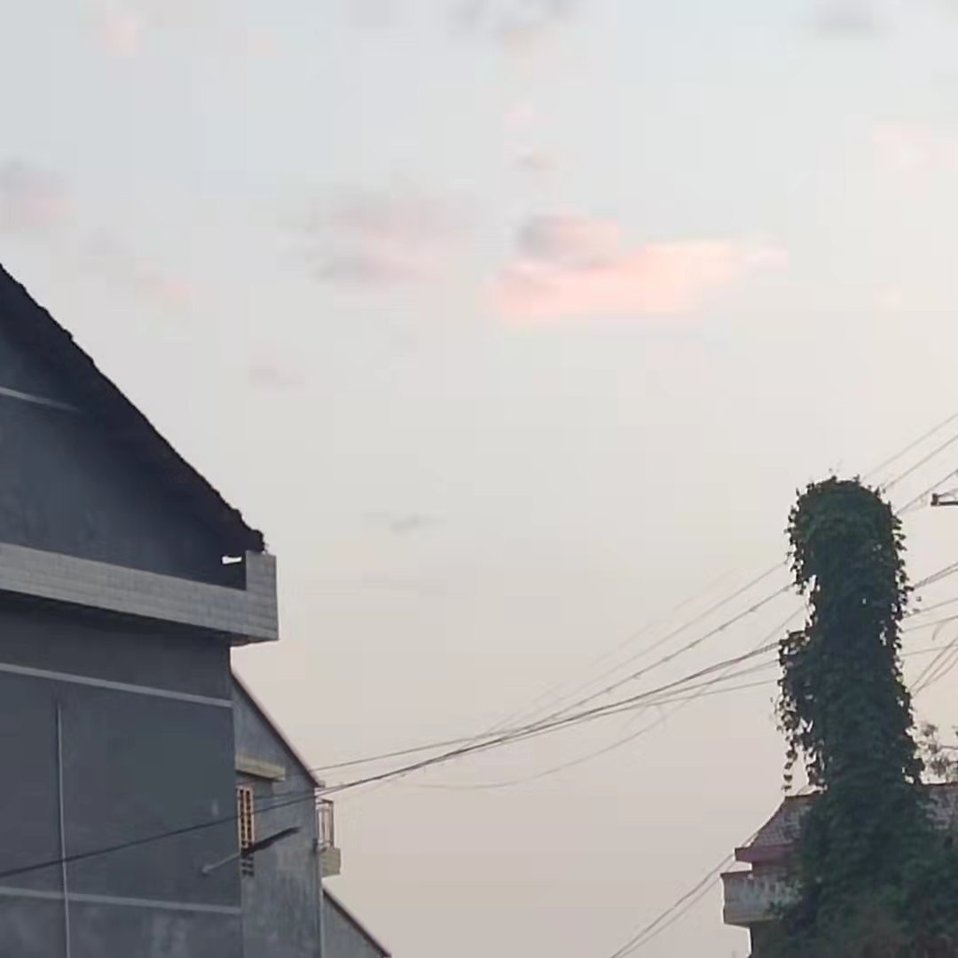 张极禹
