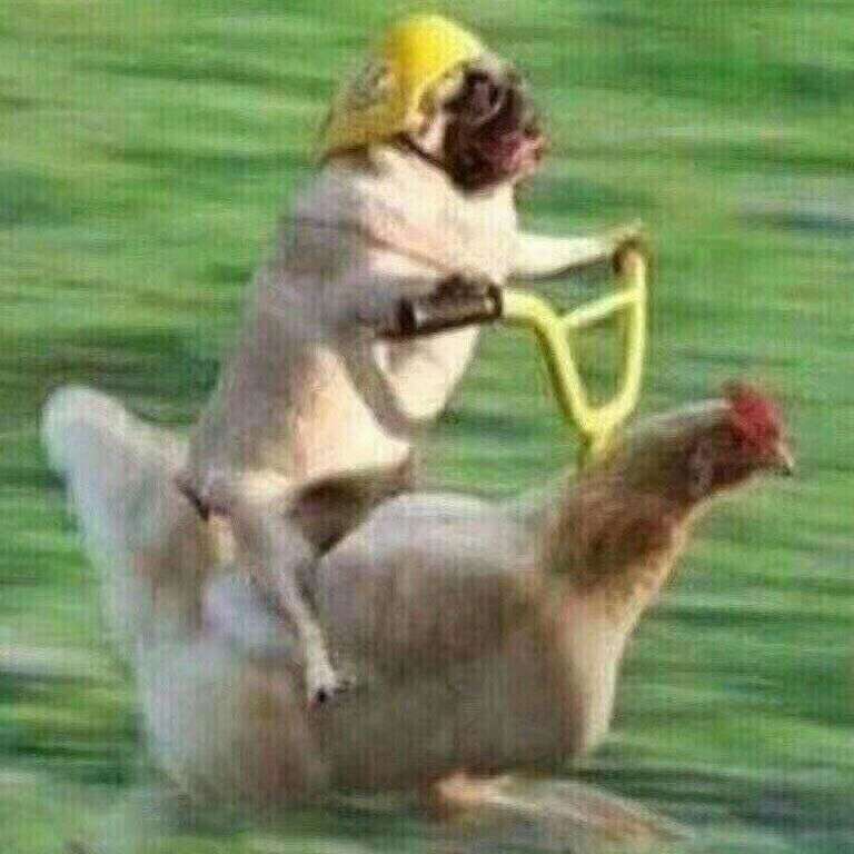 自己喜欢但不能摘抄