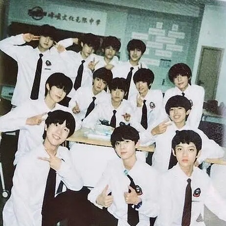 TF家族