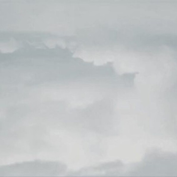 了尘