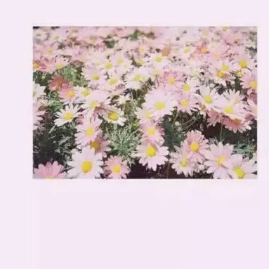 生活文案