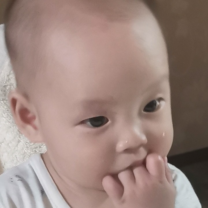 真的是一句话