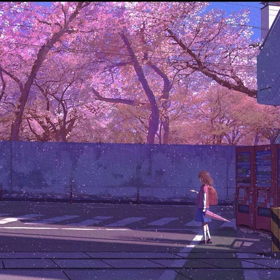 满天星之斗