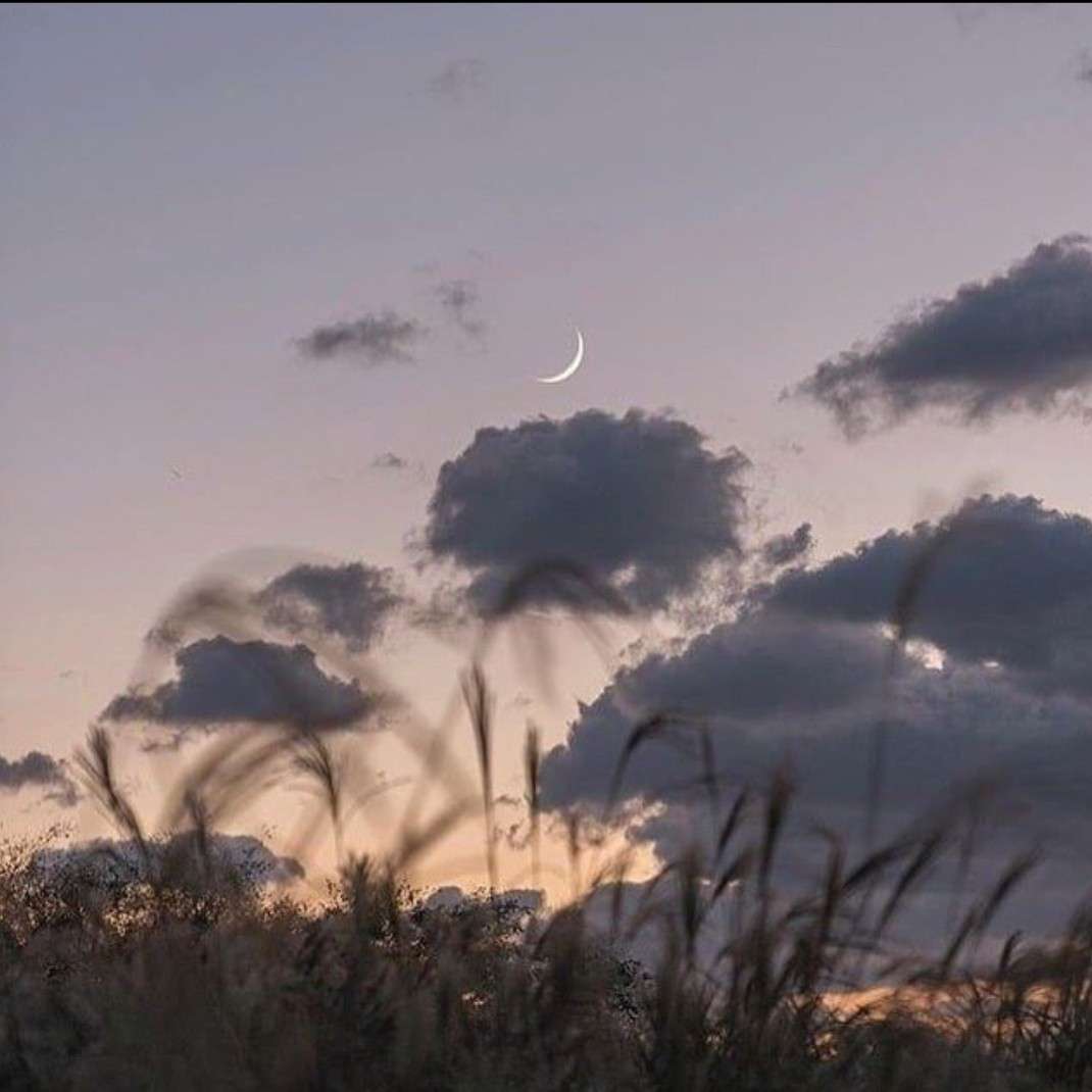 溫柔