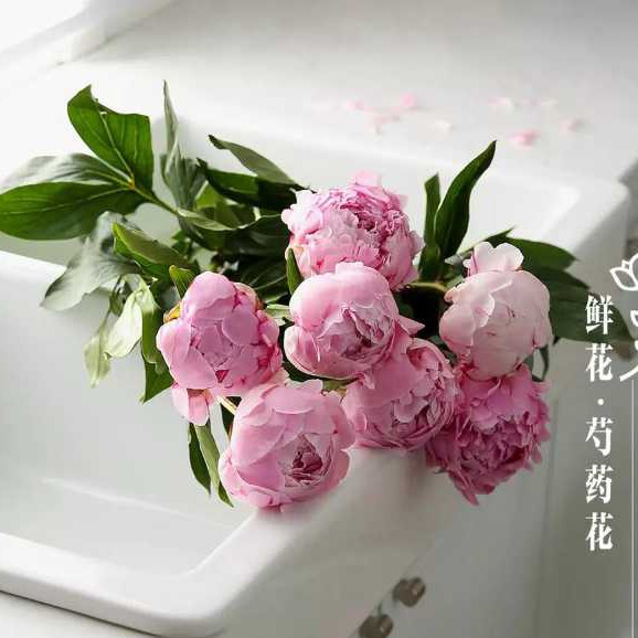 绝美