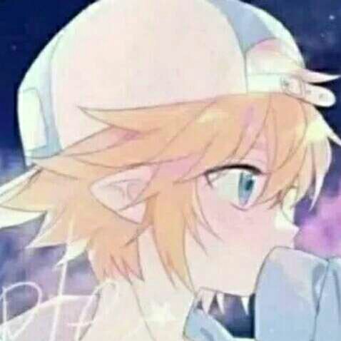 凹凸世界