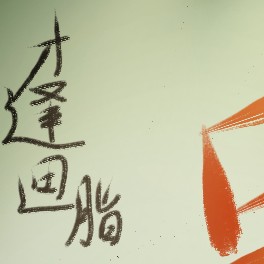 鲸落的专辑