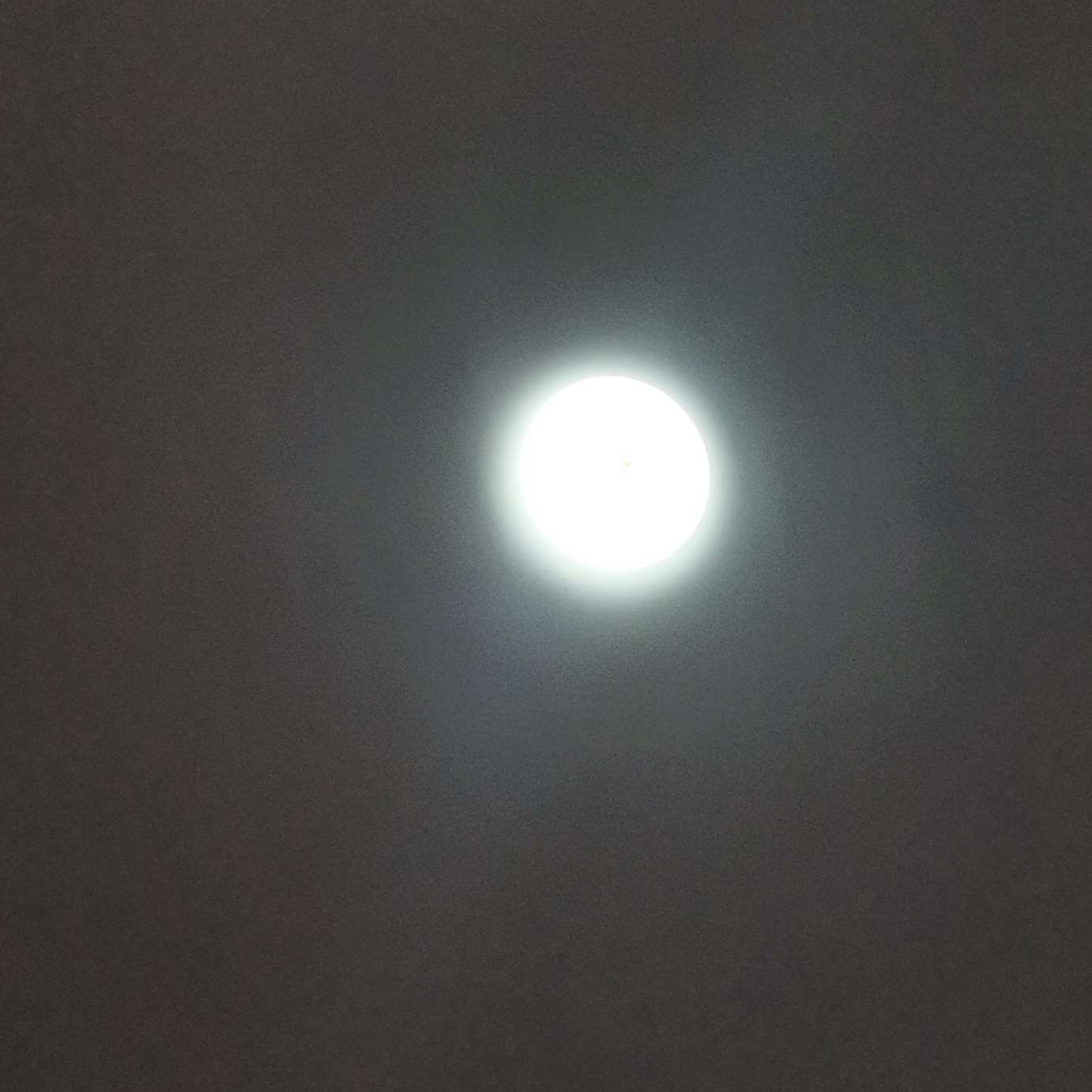 写作文时可以用到的～