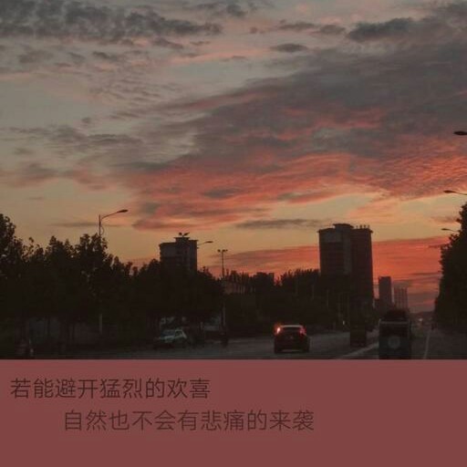 次日清晨