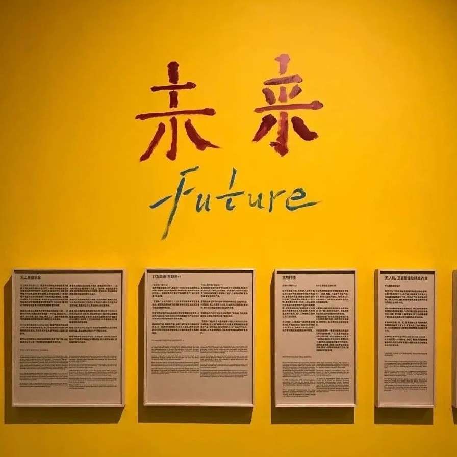 愿