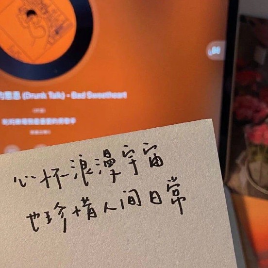让你眼前一亮的句子