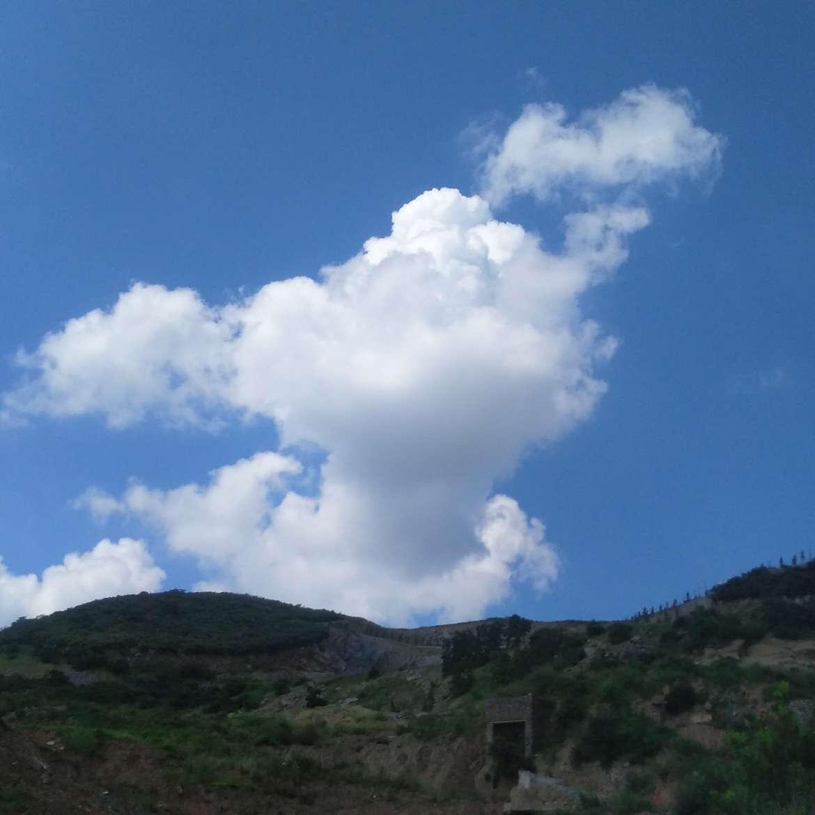 男人与习惯
