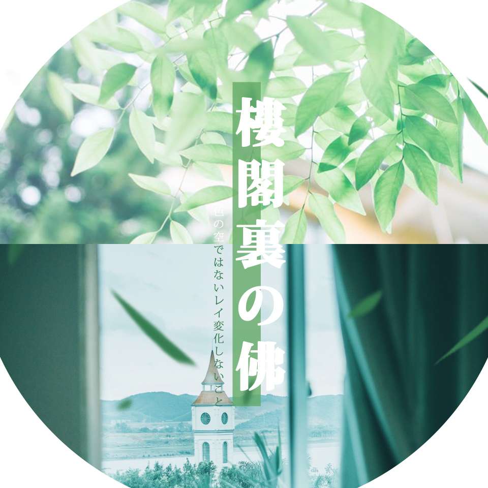飞叶