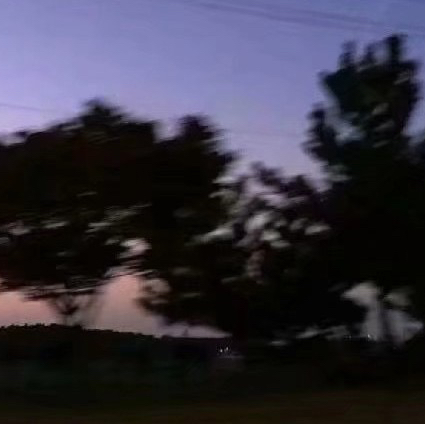 思念