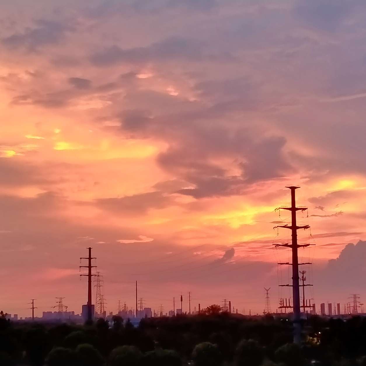 清风自来