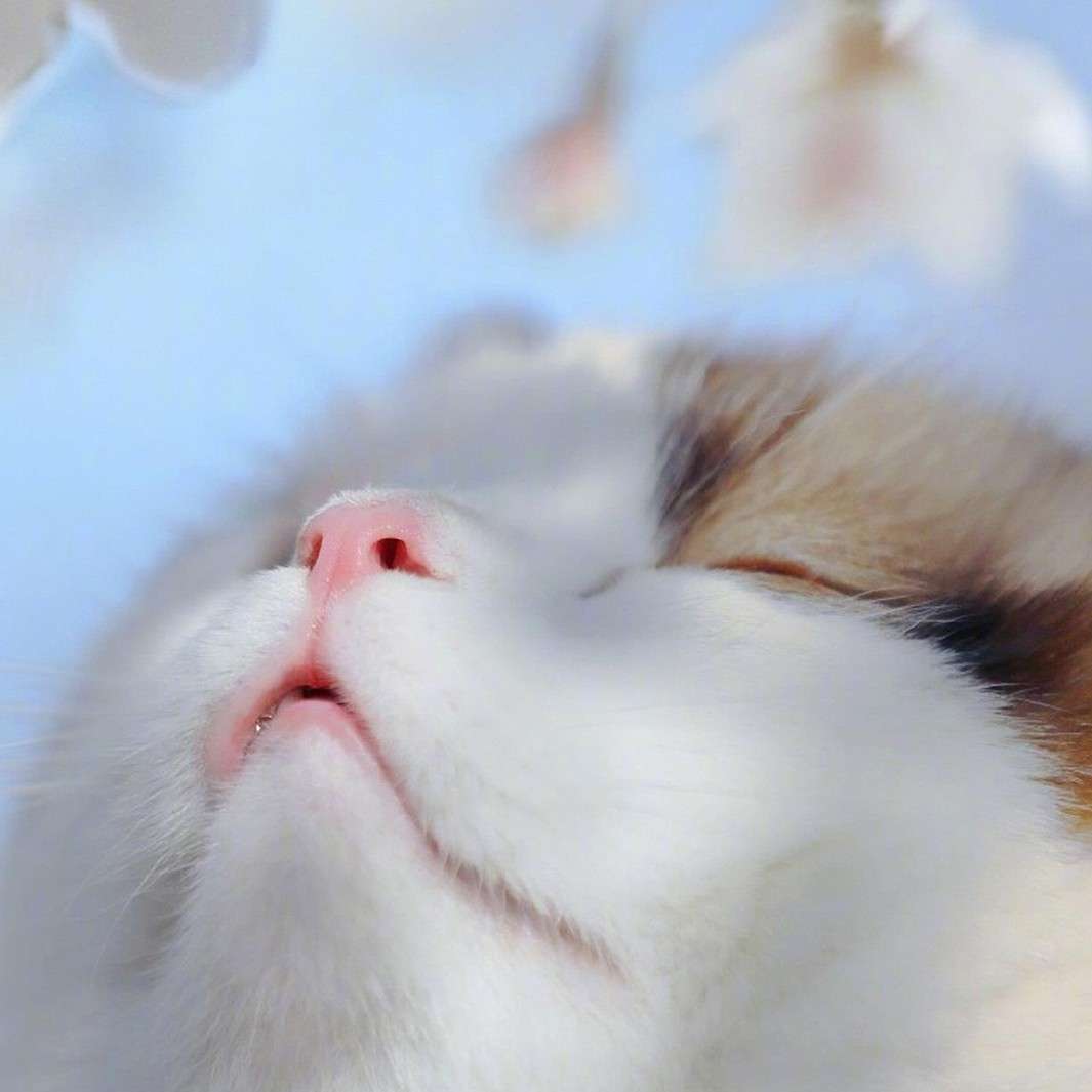 人性