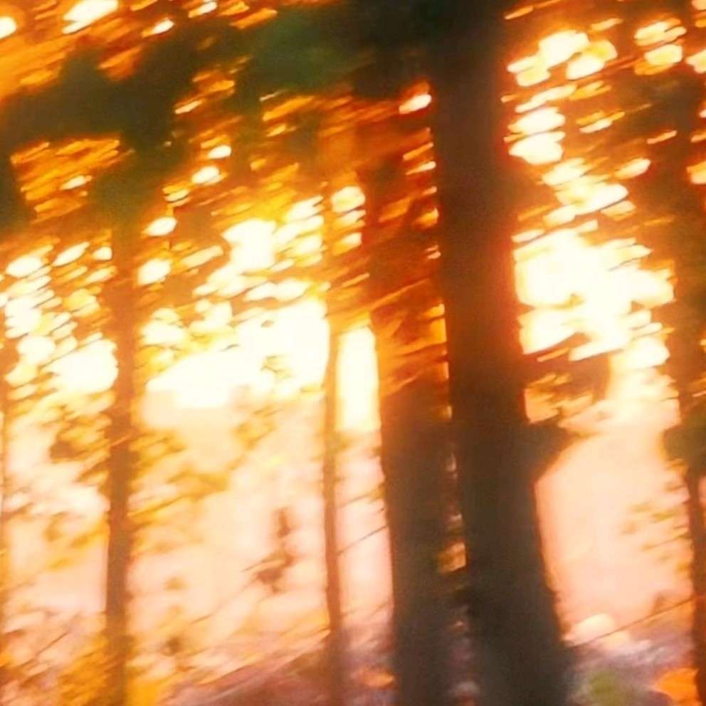 杂/收藏夹