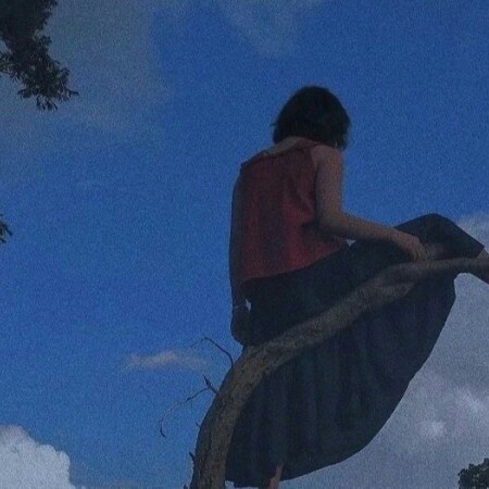 毛