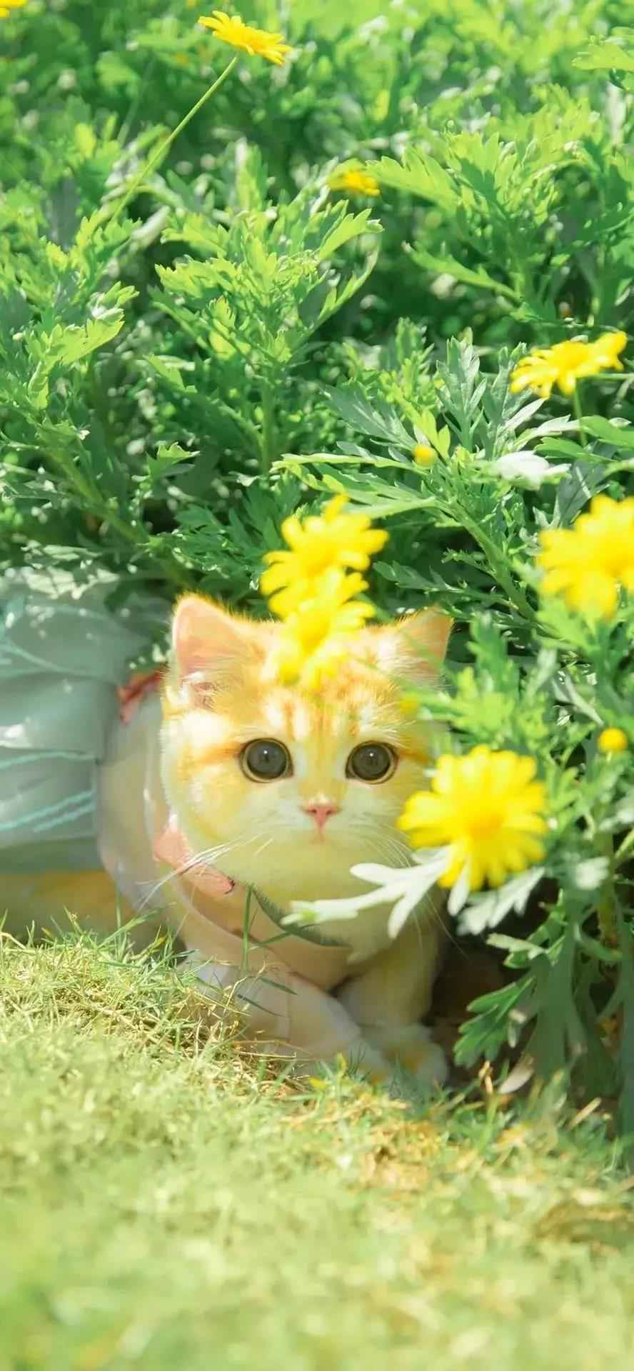 冷笑话