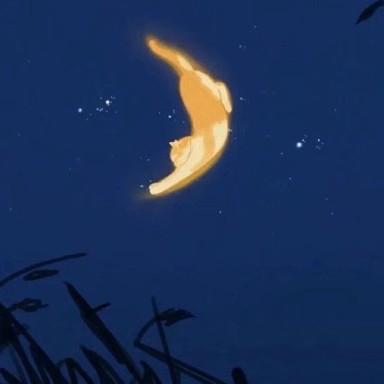 夜里集