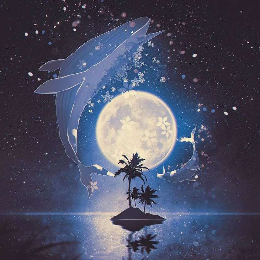 愿桉的专辑