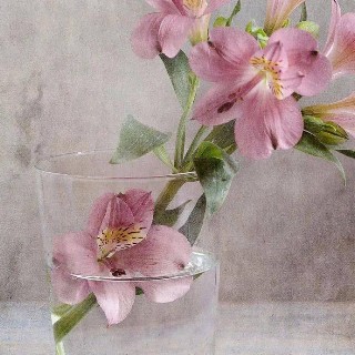 后来才明白