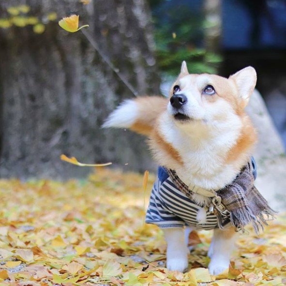 奋斗