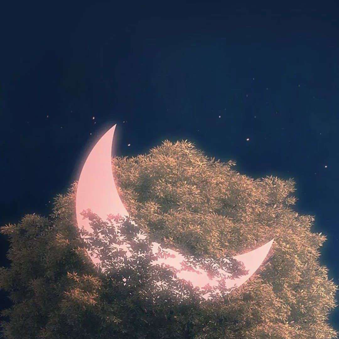 情感