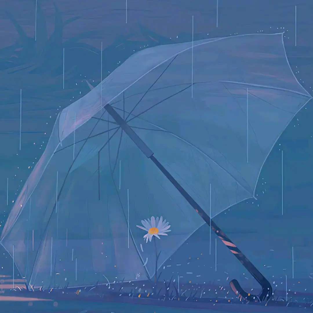 雨日