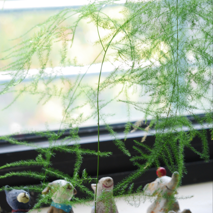 小煽情