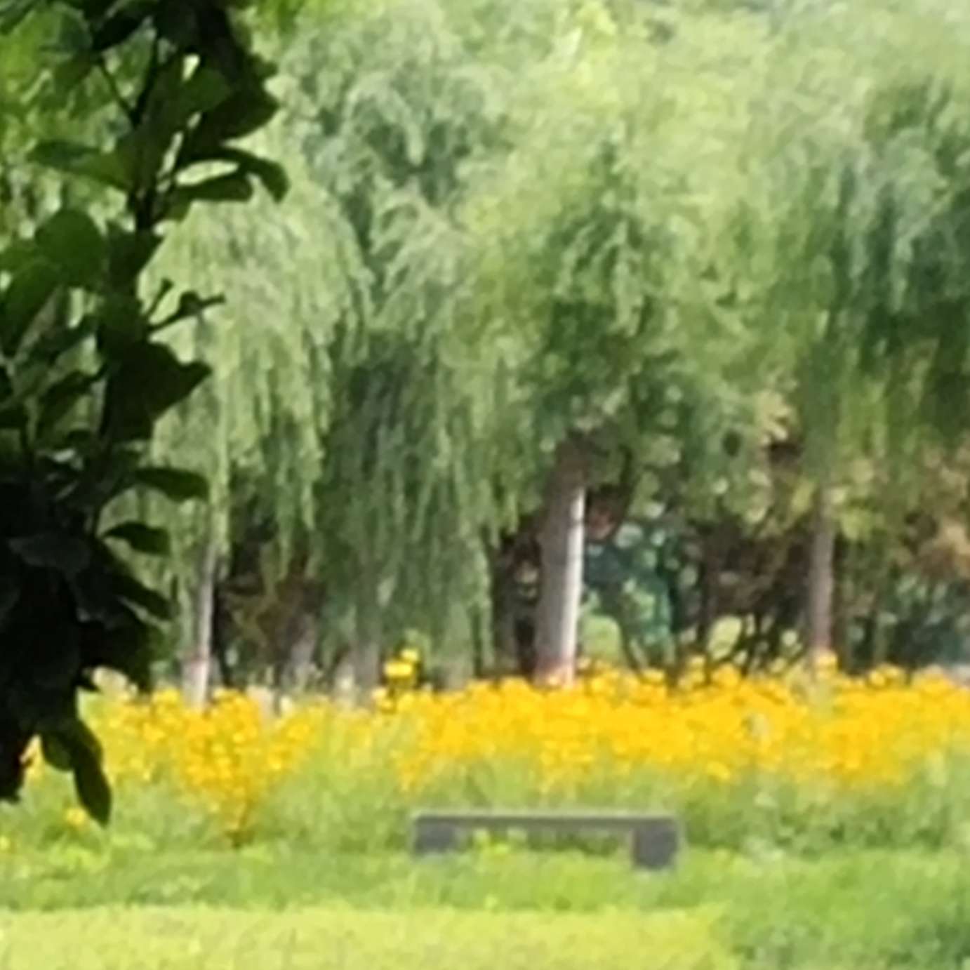 人间