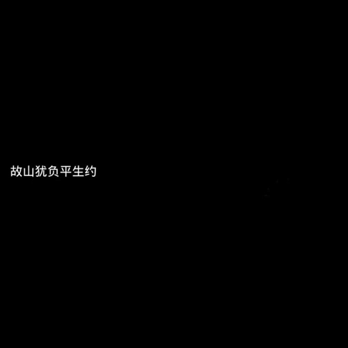 海绵宝宝
