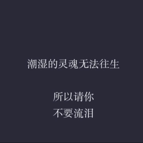 野风惊扰我