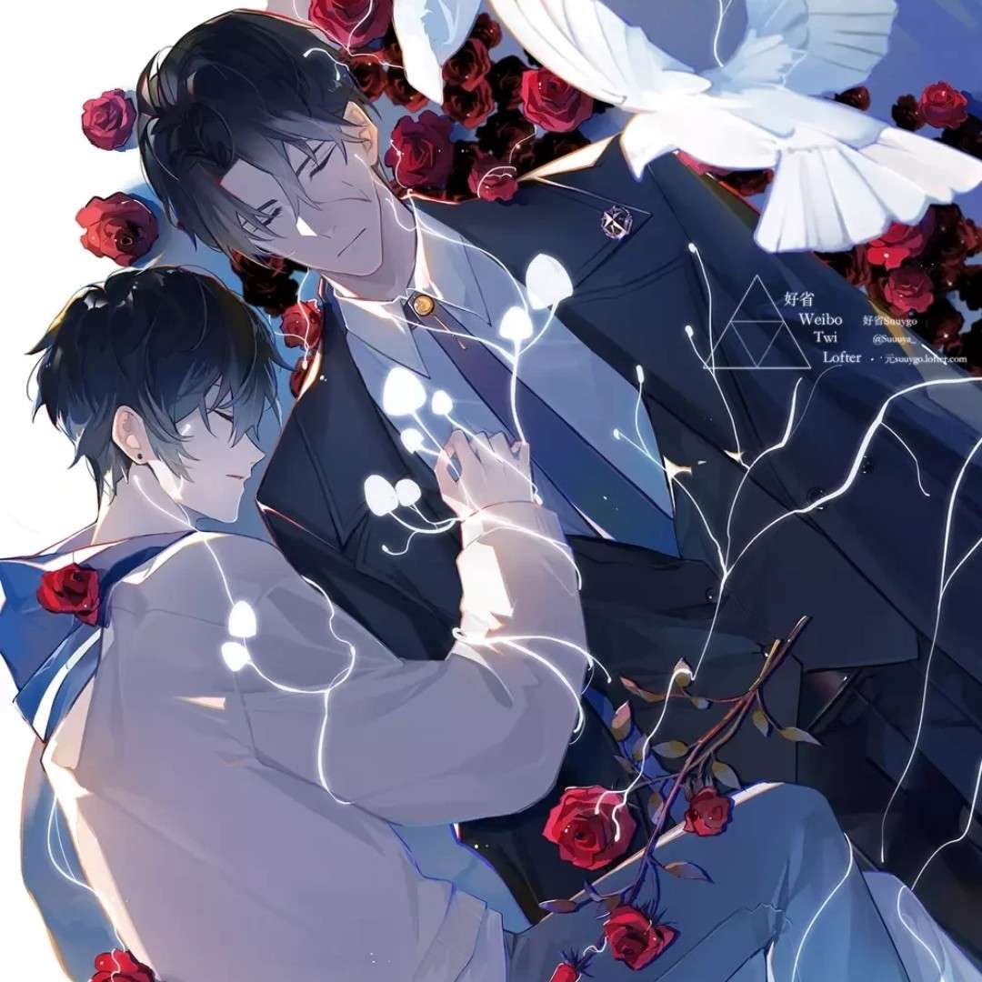 小蘑菇