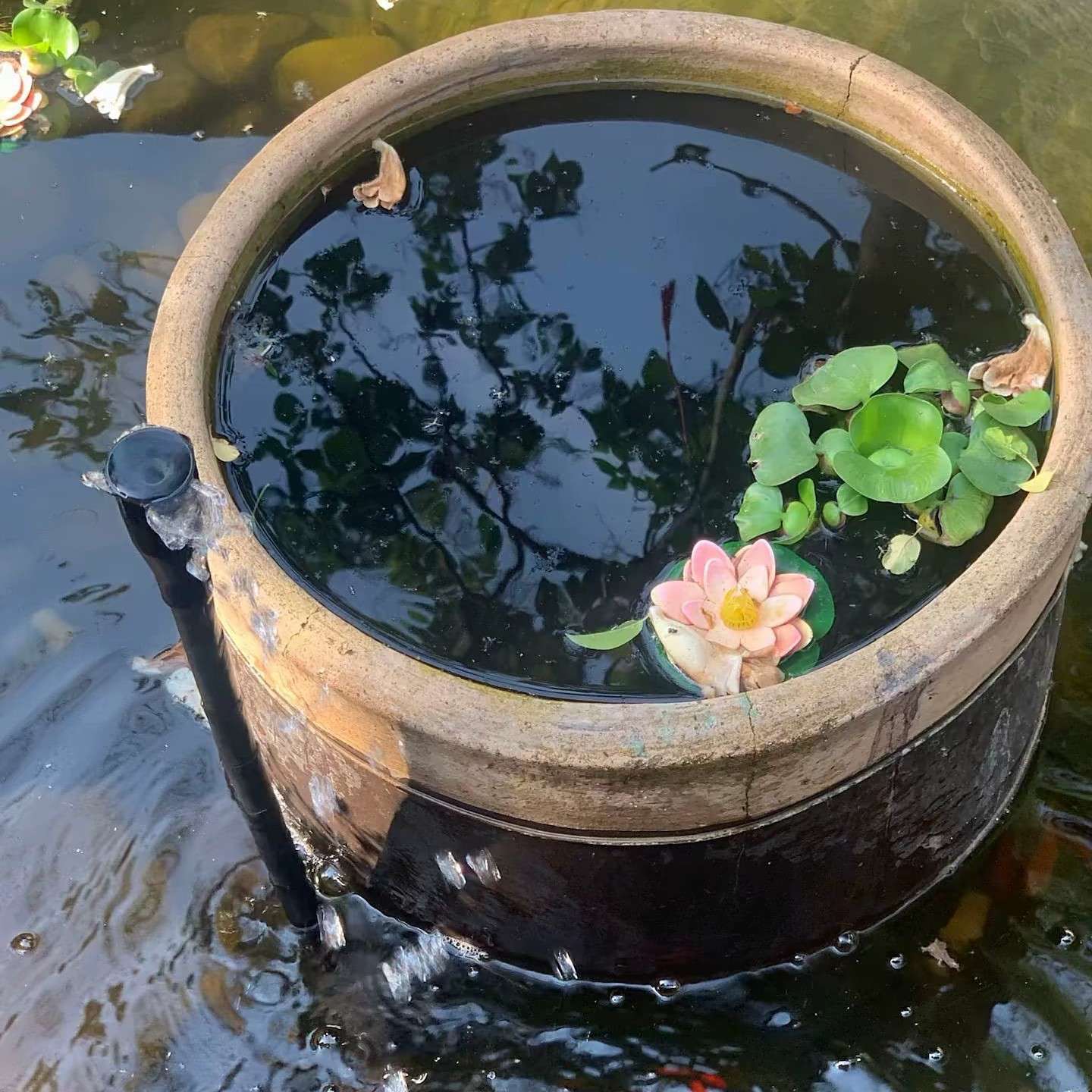 素材
