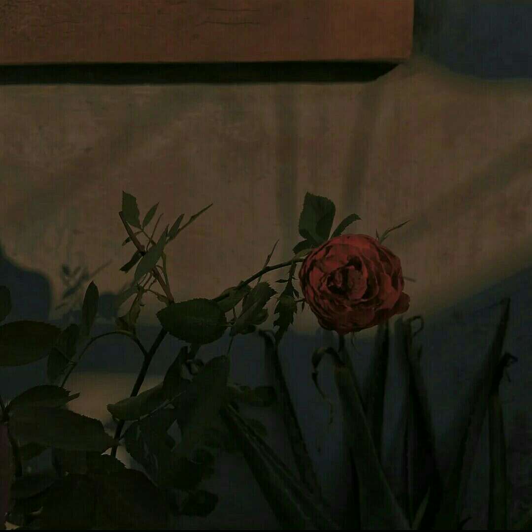 情