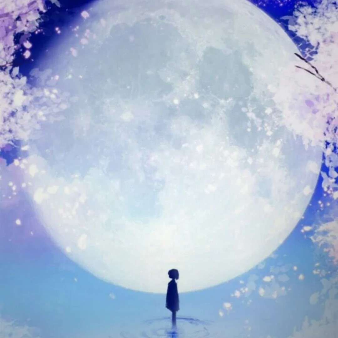 绯樱