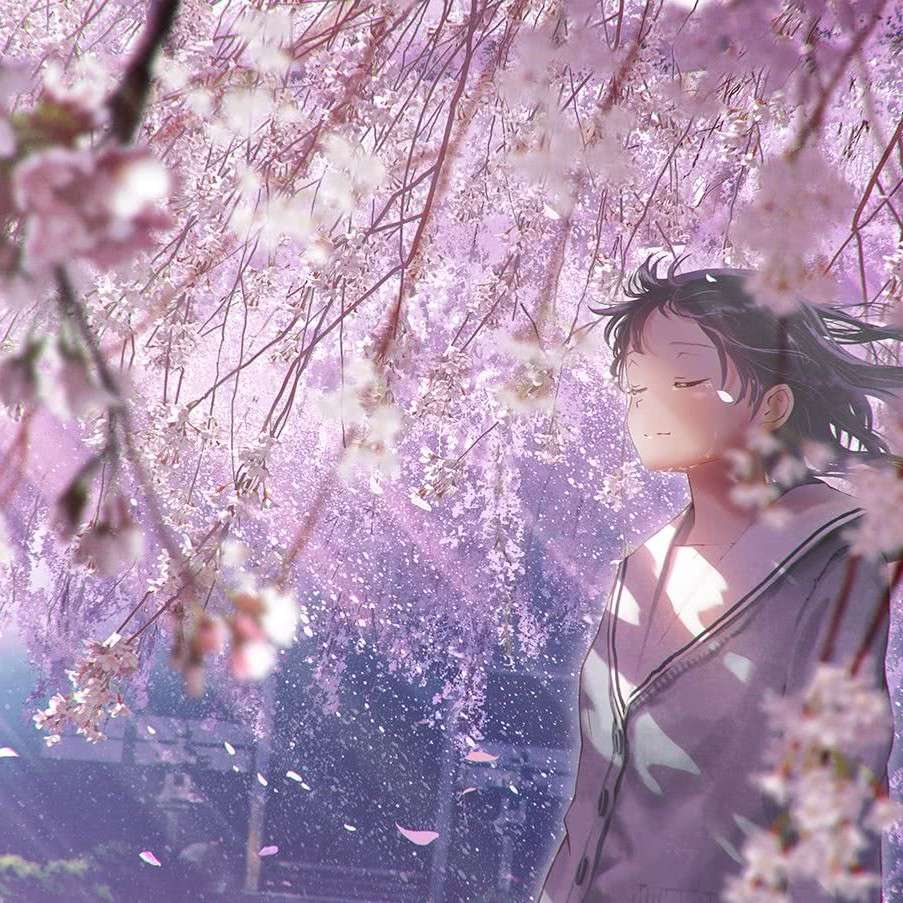 珍句