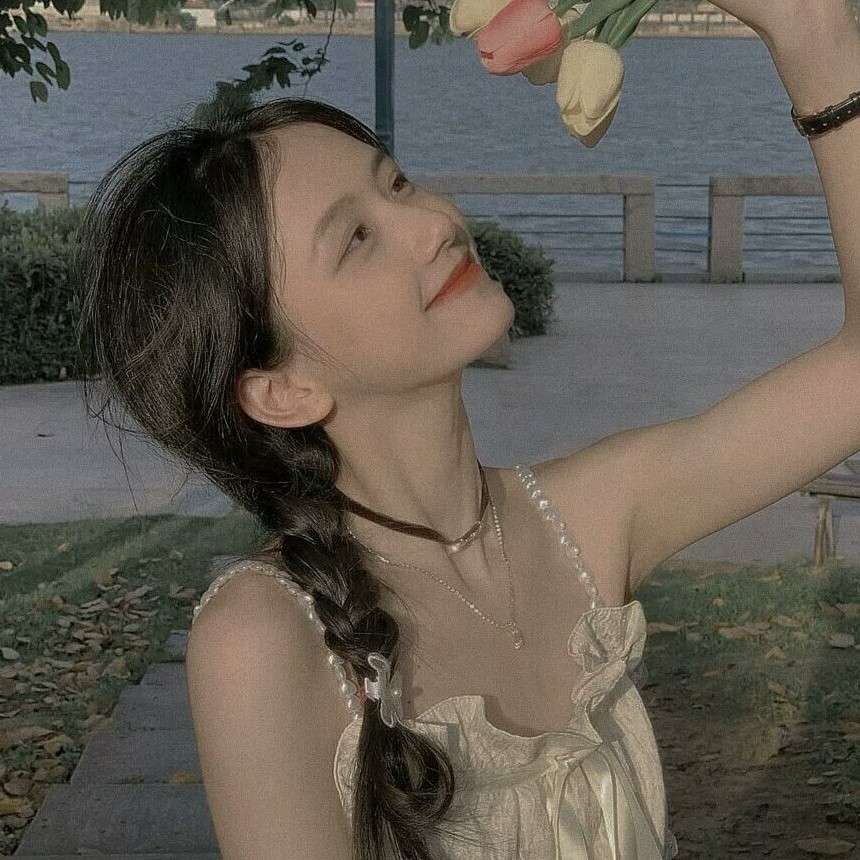 电视剧
