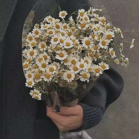 •