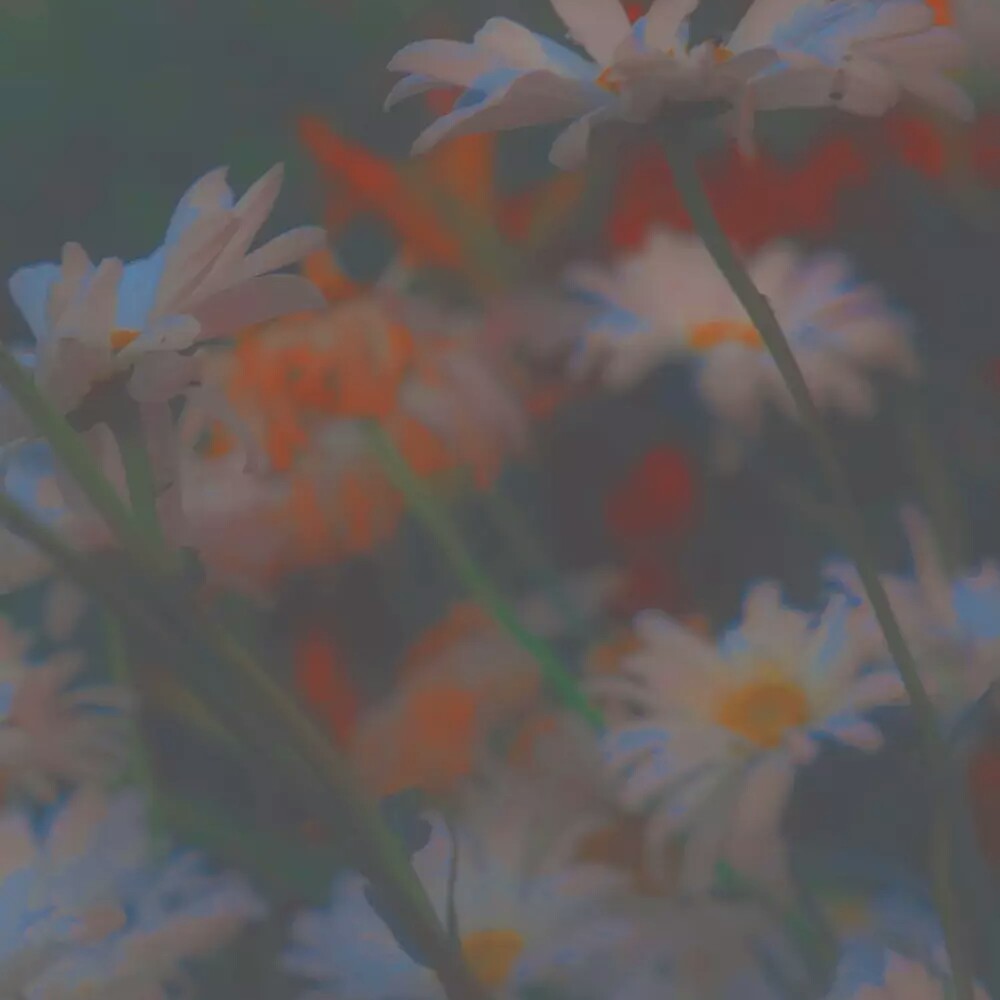 总是美丽