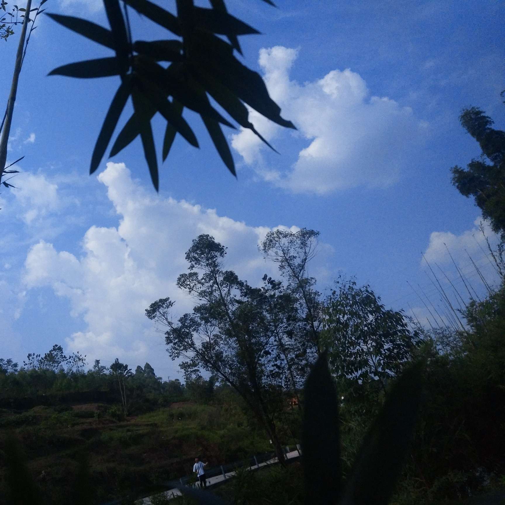 琢