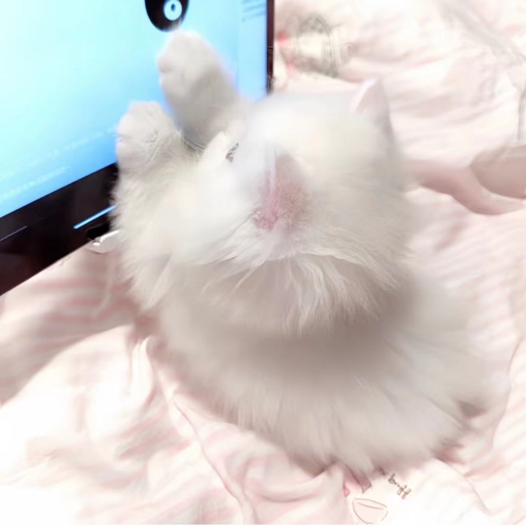 精选小片段