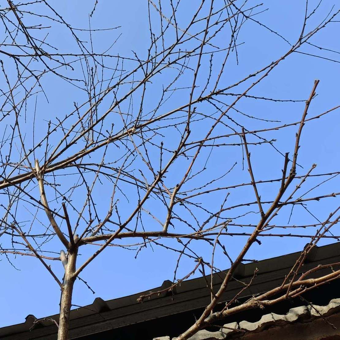 《敬山水》