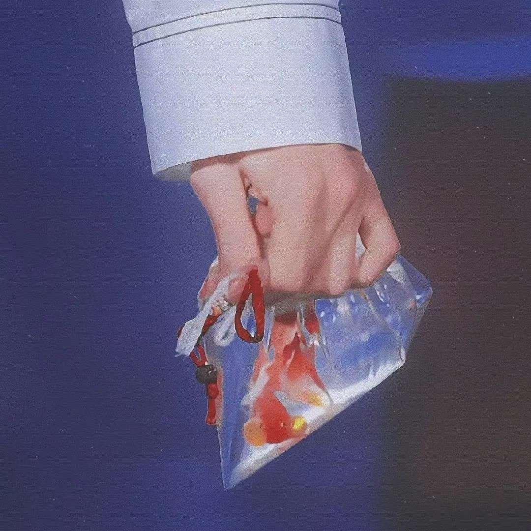 海苔.