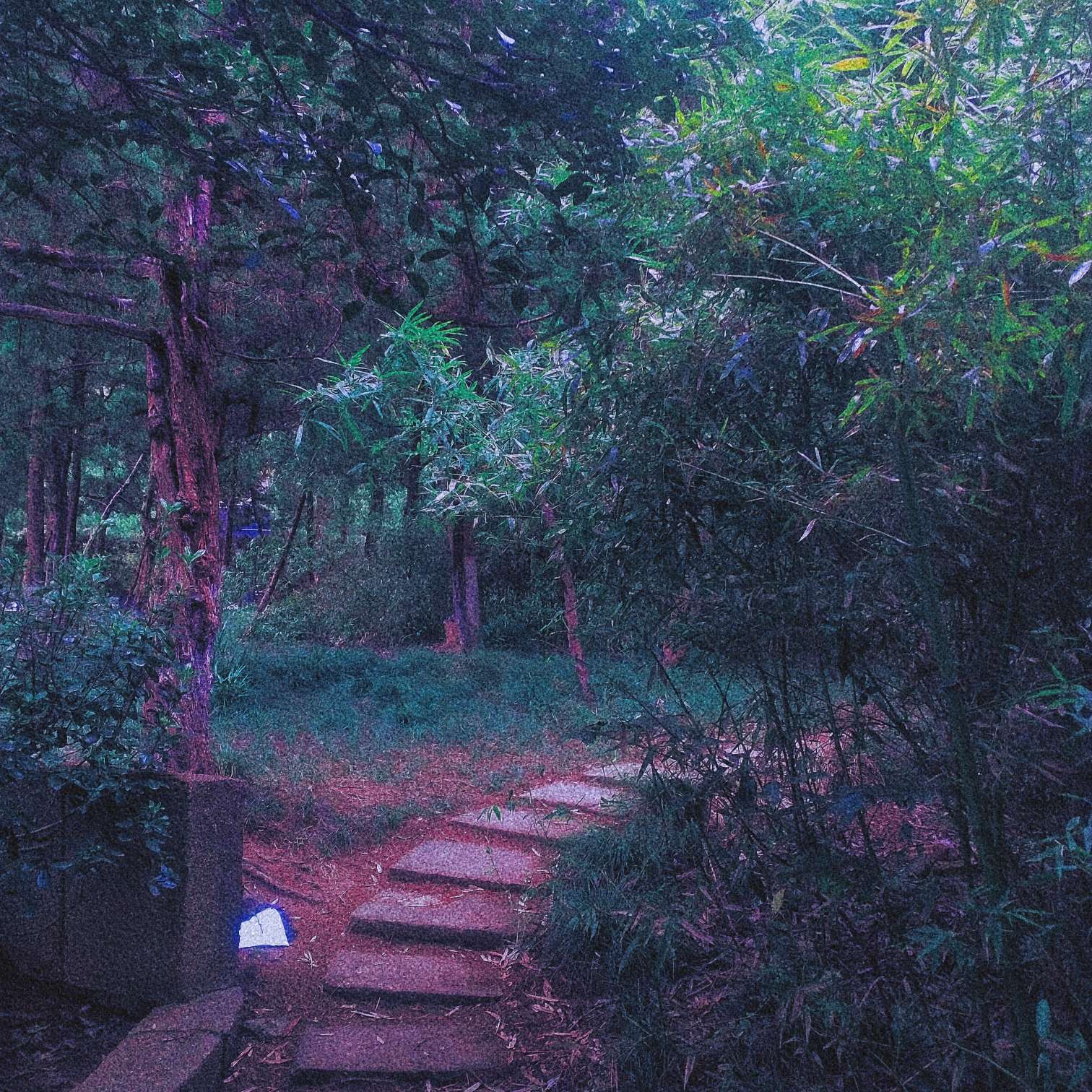 我爱